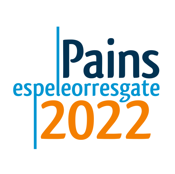 Curso Espeleorresgate Pains 2022